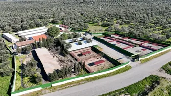 BURHANİYE BELEDİYESİ, CAN DOSTLARI SICAK YUVALARLA BULUŞTURUYOR