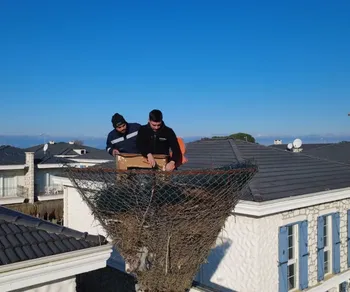 AYVALIK’TA LEYLEK YUVASI BAHARA HAZIR